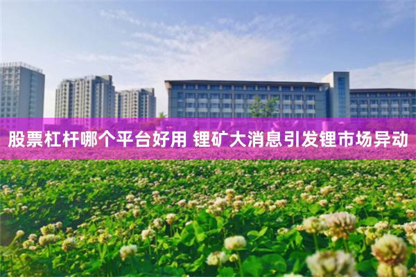 股票杠杆哪个平台好用 锂矿大消息引发锂市场异动