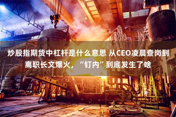 炒股指期货中杠杆是什么意思 从CEO凌晨查岗到离职长文爆火，“钉内”到底发生了啥