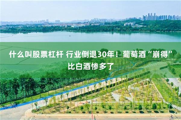 什么叫股票杠杆 行业倒退30年！葡萄酒“崩得”比白酒惨多了