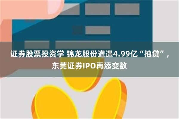 证券股票投资学 锦龙股份遭遇4.99亿“抽贷”，东莞证券IPO再添变数