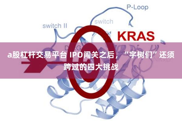 a股杠杆交易平台 IPO闯关之后，“宇树们”还须跨过的四大挑战