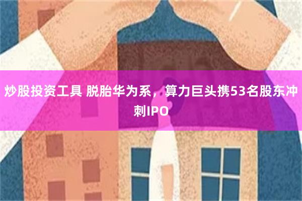 炒股投资工具 脱胎华为系，算力巨头携53名股东冲刺IPO
