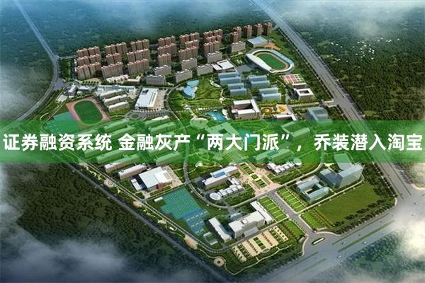证券融资系统 金融灰产“两大门派”，乔装潜入淘宝