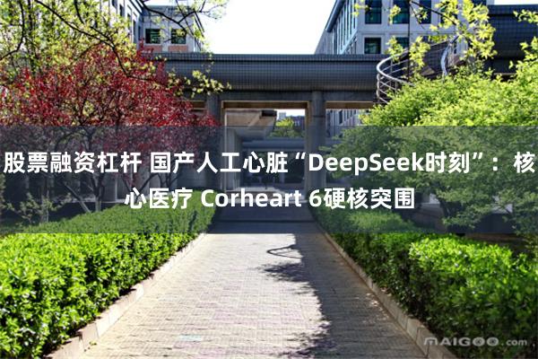 股票融资杠杆 国产人工心脏“DeepSeek时刻”：核心医疗 Corheart 6硬核突围