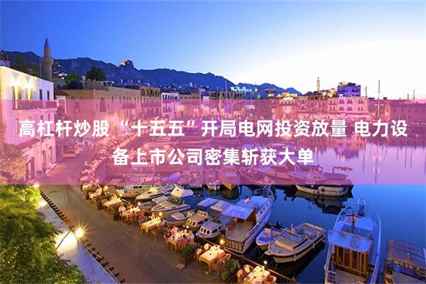 高杠杆炒股 “十五五”开局电网投资放量 电力设备上市公司密集斩获大单