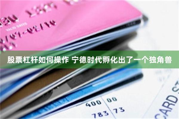 股票杠杆如何操作 宁德时代孵化出了一个独角兽