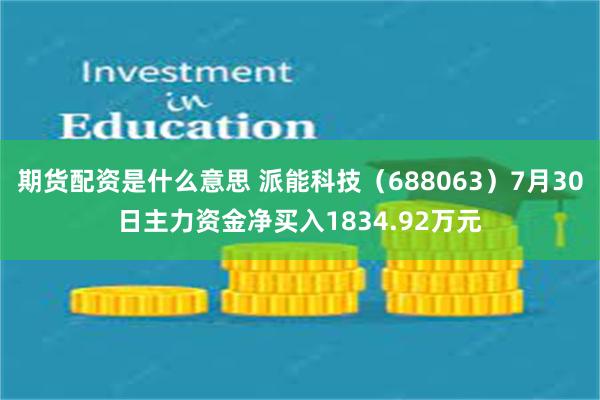 期货配资是什么意思 派能科技（688063）7月30日主力资金净买入1834.92万元