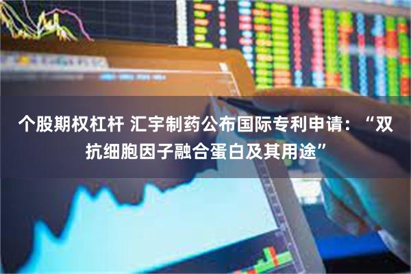 个股期权杠杆 汇宇制药公布国际专利申请：“双抗细胞因子融合蛋白及其用途”