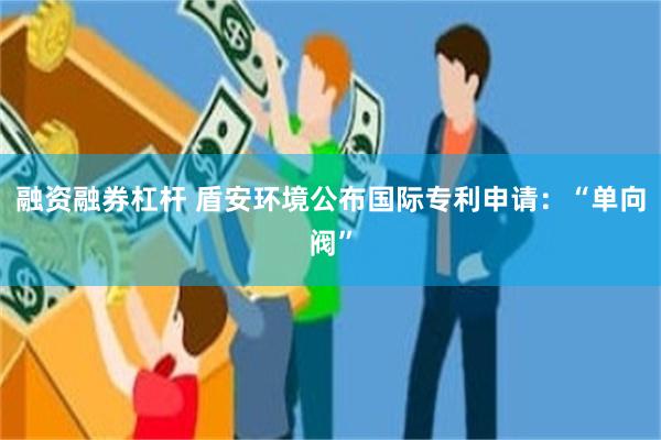 融资融券杠杆 盾安环境公布国际专利申请：“单向阀”