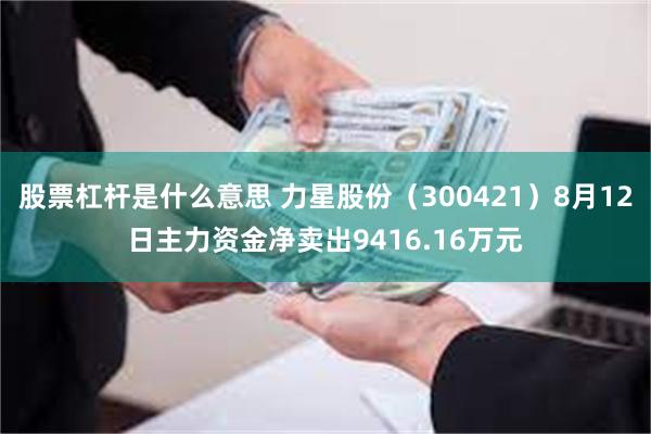 股票杠杆是什么意思 力星股份（300421）8月12日主力资金净卖出9416.16万元