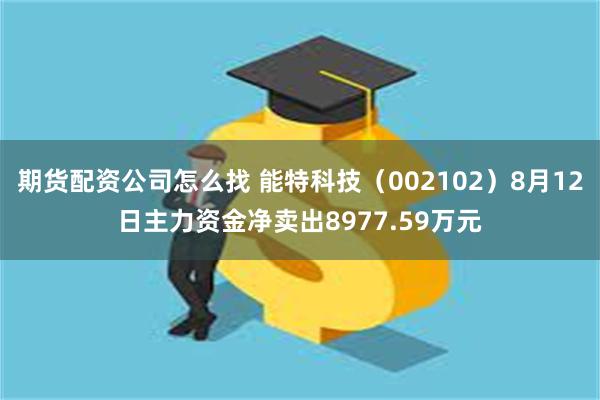 期货配资公司怎么找 能特科技（002102）8月12日主力资金净卖出8977.59万元