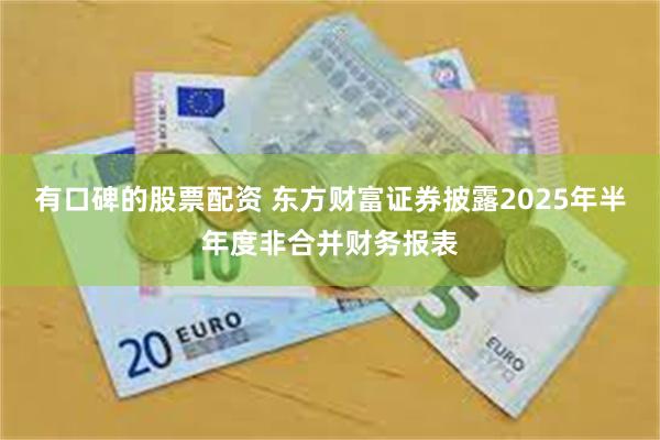 有口碑的股票配资 东方财富证券披露2025年半年度非合并财务报表