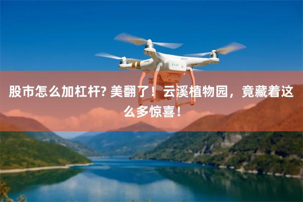 股市怎么加杠杆? 美翻了！云溪植物园，竟藏着这么多惊喜！