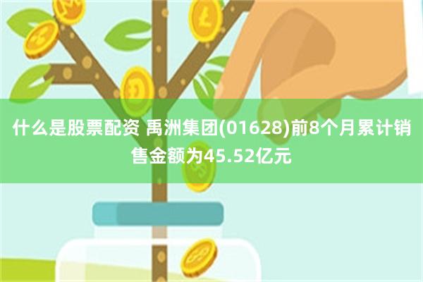 什么是股票配资 禹洲集团(01628)前8个月累计销售金额为45.52亿元