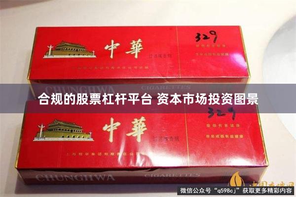 合规的股票杠杆平台 资本市场投资图景
