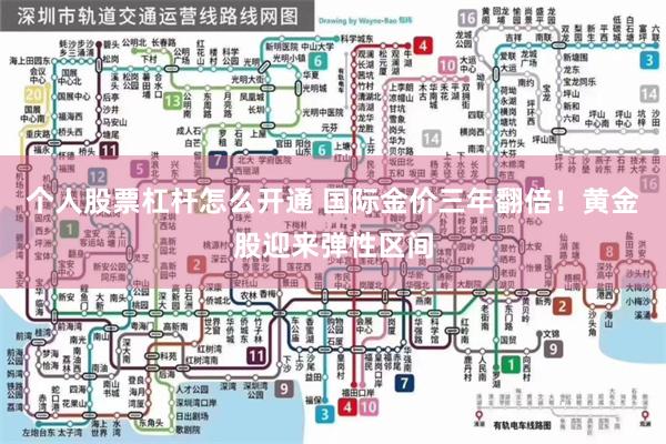 个人股票杠杆怎么开通 国际金价三年翻倍！黄金股迎来弹性区间