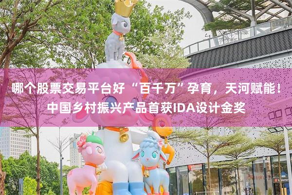 哪个股票交易平台好 “百千万”孕育,天河赋能!中国乡村振兴产品首获IDA设计金奖
