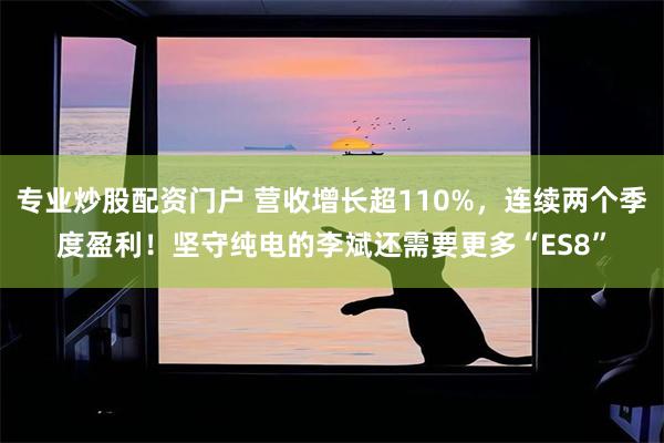 专业炒股配资门户 营收增长超110%,连续两个季度盈利!坚守纯电的李斌还需要更多“ES8”