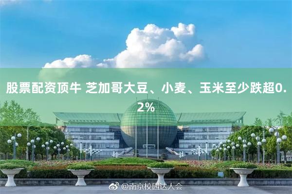 股票配资顶牛 芝加哥大豆、小麦、玉米至少跌超0.2%