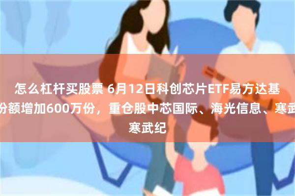 怎么杠杆买股票 6月12日科创芯片ETF易方达基金份额增加600万份，重仓股中芯国际、海光信息、寒武纪