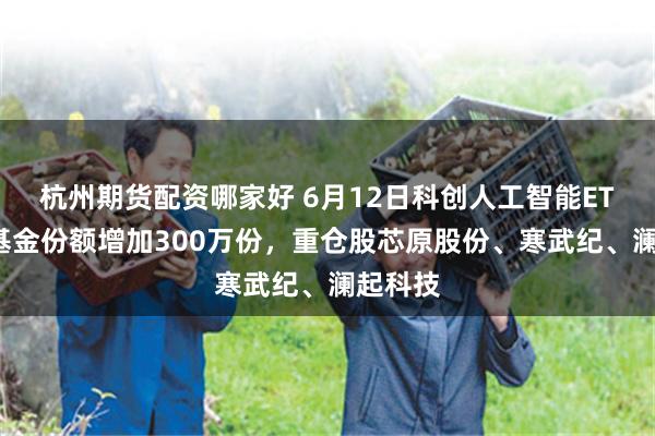 杭州期货配资哪家好 6月12日科创人工智能ETF华夏基金份额增加300万份，重仓股芯原股份、寒武纪、澜起科技