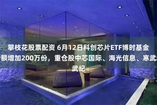 攀枝花股票配资 6月12日科创芯片ETF博时基金份额增加200万份，重仓股中芯国际、海光信息、寒武纪