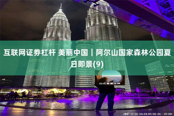 互联网证劵杠杆 美丽中国｜阿尔山国家森林公园夏日即景(9)