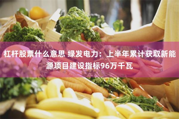杠杆股票什么意思 绿发电力：上半年累计获取新能源项目建设指标96万千瓦