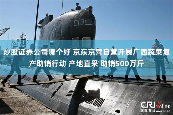 炒股证券公司哪个好 京东京喜自营开展广西蔬菜复产助销行动 产地直采 助销500万斤