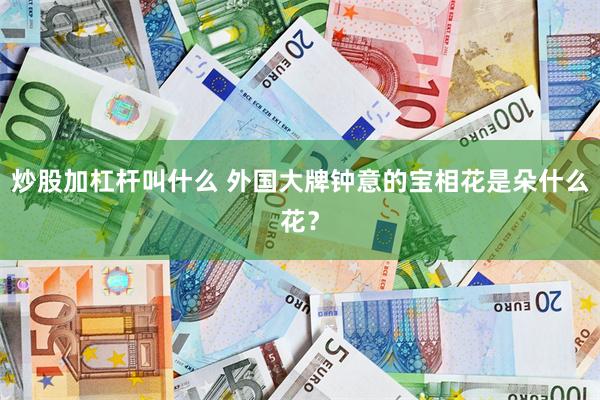 炒股加杠杆叫什么 外国大牌钟意的宝相花是朵什么花？