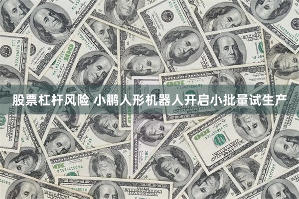 股票杠杆风险 小鹏人形机器人开启小批量试生产