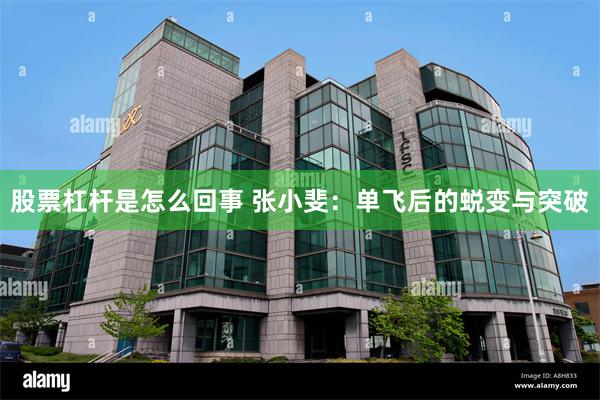 股票杠杆是怎么回事 张小斐：单飞后的蜕变与突破