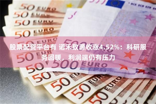 股票配资平台有 诺禾致源收涨4.52%：科研服务回暖，利润端仍有压力