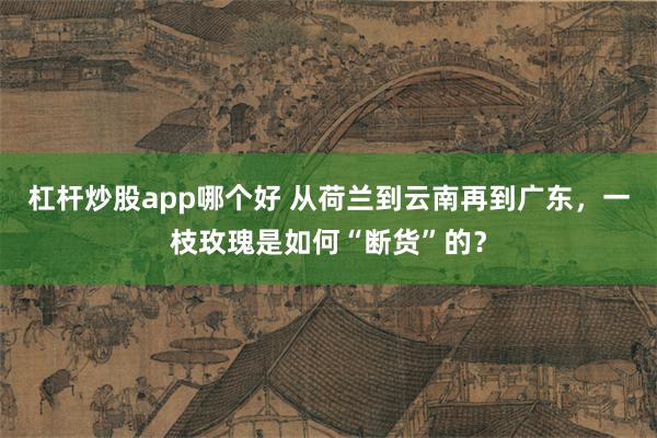 杠杆炒股app哪个好 从荷兰到云南再到广东，一枝玫瑰是如何“断货”的？