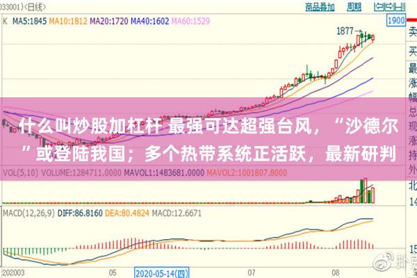 什么叫炒股加杠杆 最强可达超强台风，“沙德尔”或登陆我国；多个热带系统正活跃，最新研判