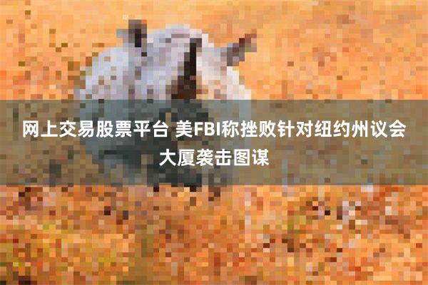 网上交易股票平台 美FBI称挫败针对纽约州议会大厦袭击图谋