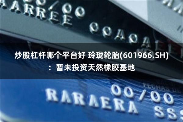 炒股杠杆哪个平台好 玲珑轮胎(601966.SH)：暂未投资天然橡胶基地