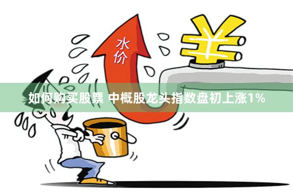 如何购买股票 中概股龙头指数盘初上涨1%