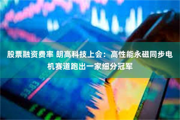 股票融资费率 朗高科技上会：高性能永磁同步电机赛道跑出一家细分冠军