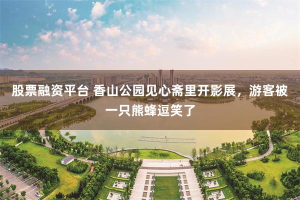 股票融资平台 香山公园见心斋里开影展，游客被一只熊蜂逗笑了