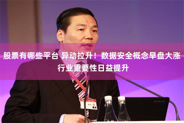 股票有哪些平台 异动拉升！数据安全概念早盘大涨 行业重要性日益提升