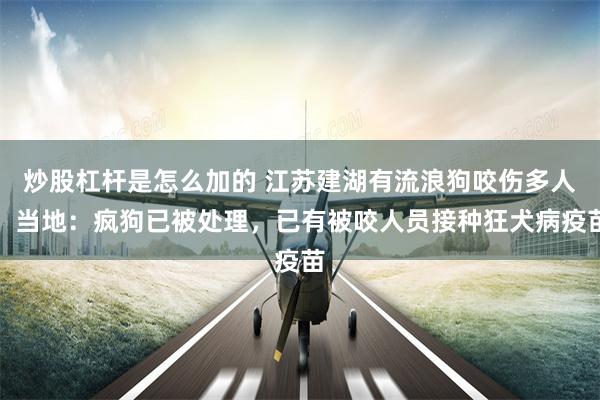 炒股杠杆是怎么加的 江苏建湖有流浪狗咬伤多人，当地：疯狗已被处理，已有被咬人员接种狂犬病疫苗