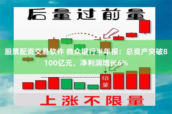 股票配资交易软件 微众银行半年报：总资产突破8100亿元，净利润增长6%