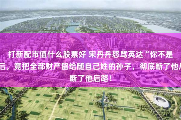 打新配市值什么股票好 宋丹丹怒骂英达“你不是人”后，竟把全部财产留给随自己姓的孙子，彻底断了他后路！