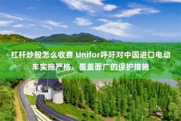 杠杆炒股怎么收费 Unifor呼吁对中国进口电动车实施严格、覆盖面广的保护措施
