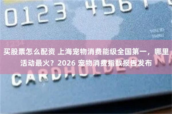 买股票怎么配资 上海宠物消费能级全国第一，哪里活动最火？2026 宠物消费指数报告发布